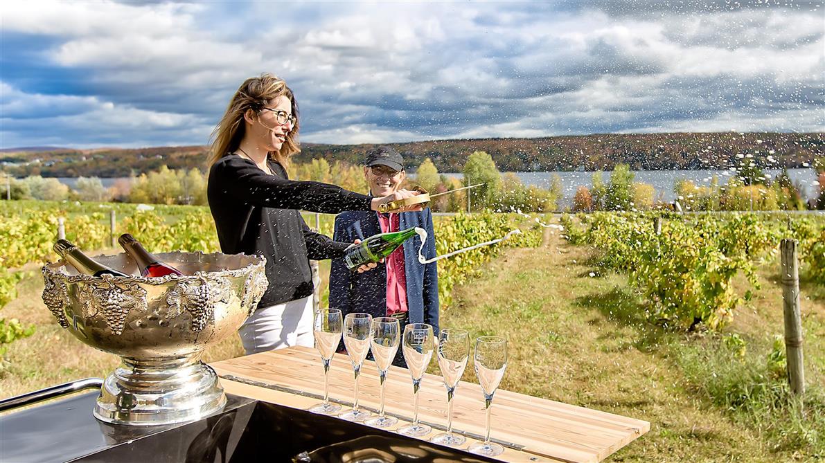 Vignoble le Cep d'Argent