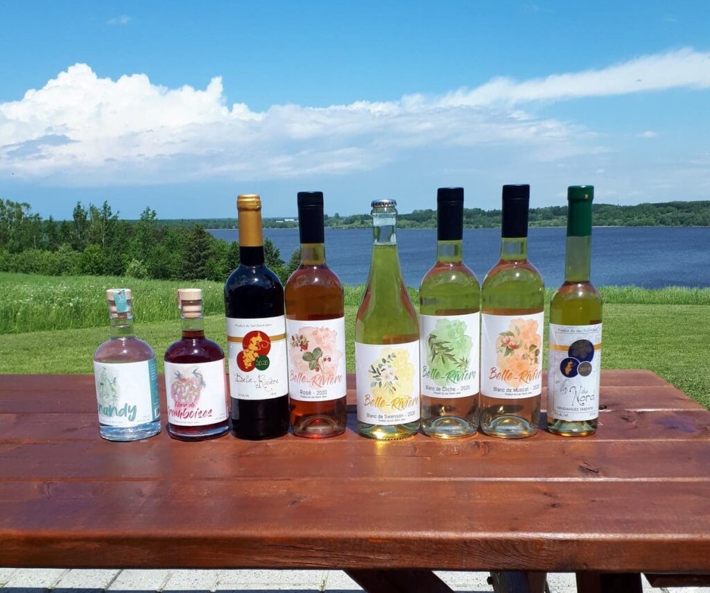 Vignoble_Couchepagane