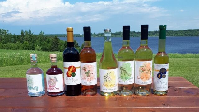 Vignoble_Couchepagane
