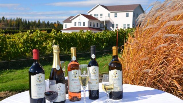 vignoble_chemin_de_la_riviere
