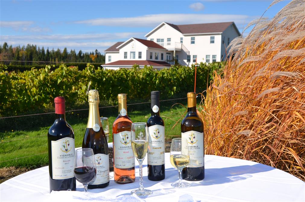 Vignoble Chemin de la Rivière