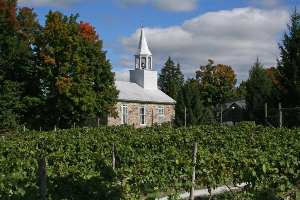 vignoble_clos_ste_croix