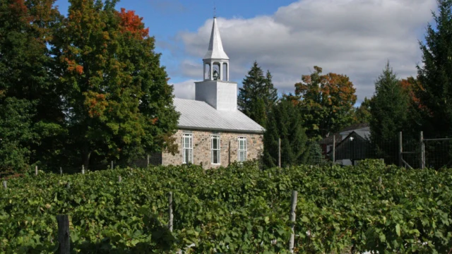 vignoble_clos_ste_croix