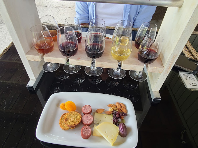 vignoble_de_la_bauge