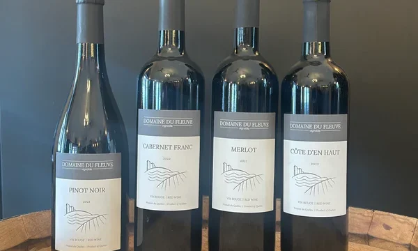 vignoble_domaine_du_fleuve
