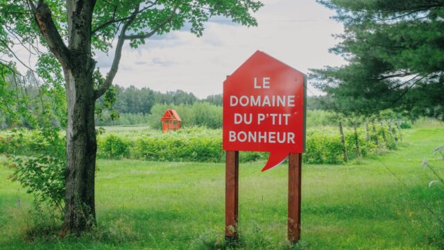 vignoble_domaine_du_ptit_bonheur