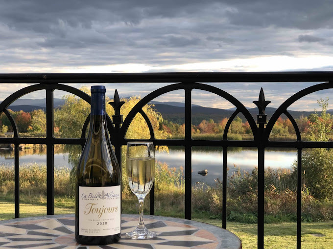 Vignoble La Belle Alliance