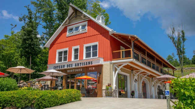 vignoble_coteau_des_artisans