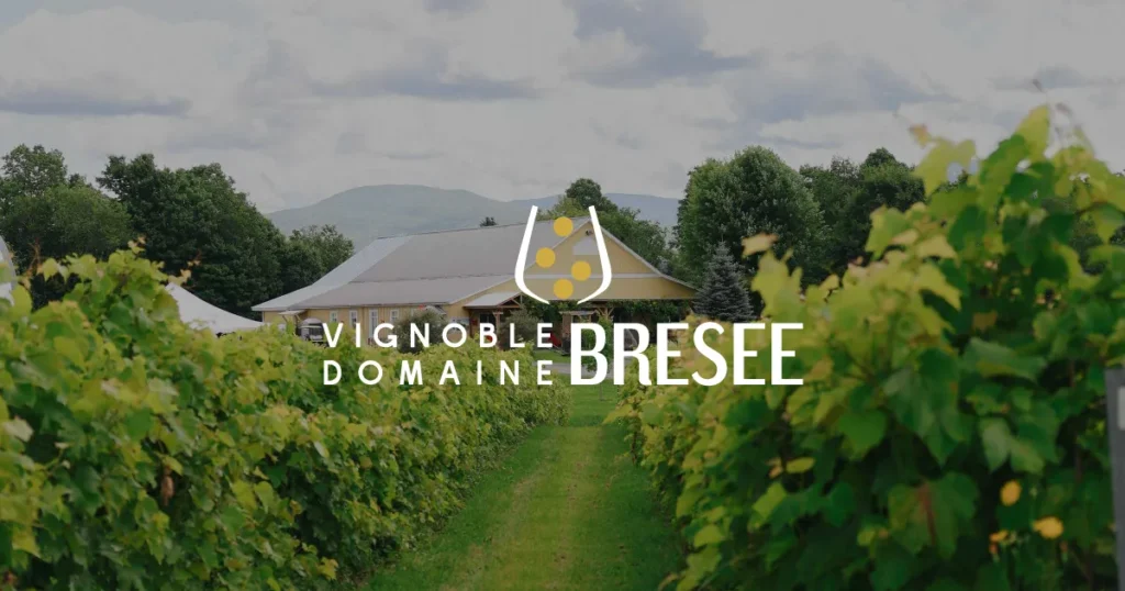 vignoble_domaine_bresee
