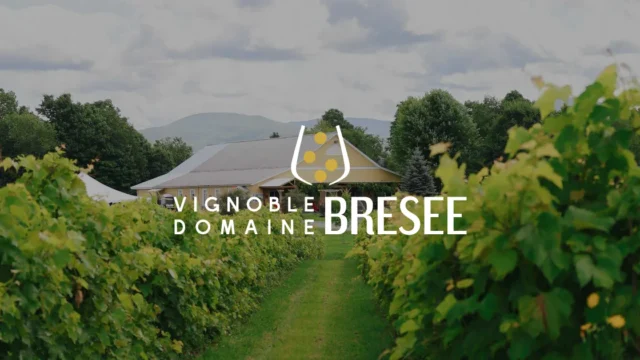 vignoble_domaine_bresee