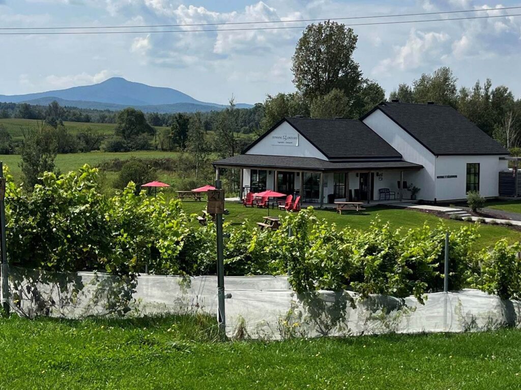 vignoble_domaine_girouard