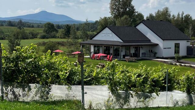 vignoble_domaine_girouard