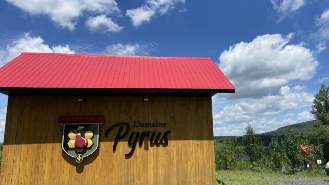 vignoble_domaine_pyrus