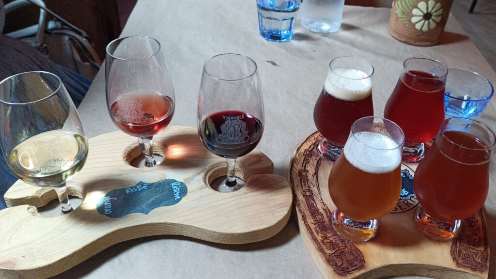 vignoble_kobloth