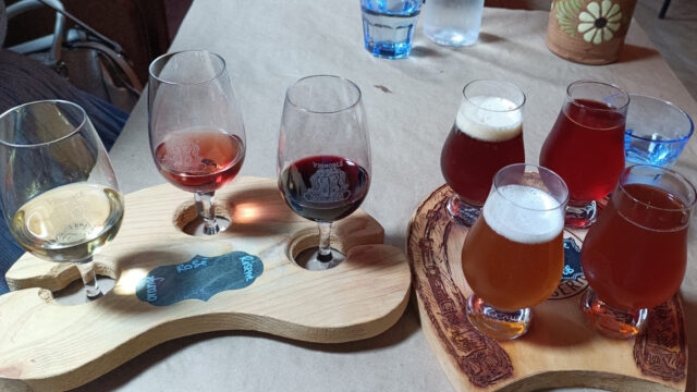 vignoble_kobloth