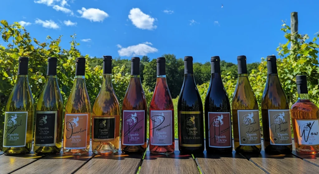 vignoble_le_di_vin