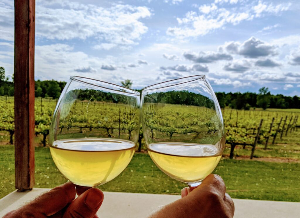 vignoble_saint_remi