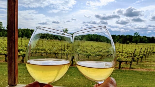 vignoble_saint_remi