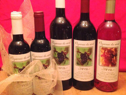 vignoble_spirit_leonard